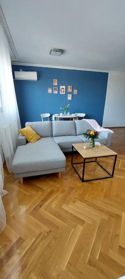 Plavi Zec Lägenhet Subotica Exteriör bild
